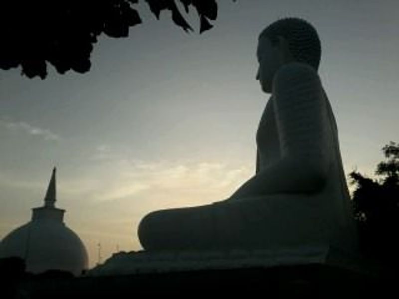 Negombo - Anuradhapura
